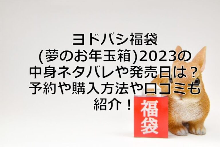 ヨドバシカメラ 2023年 夢のお年玉箱デザインホットプレートの夢 - その他